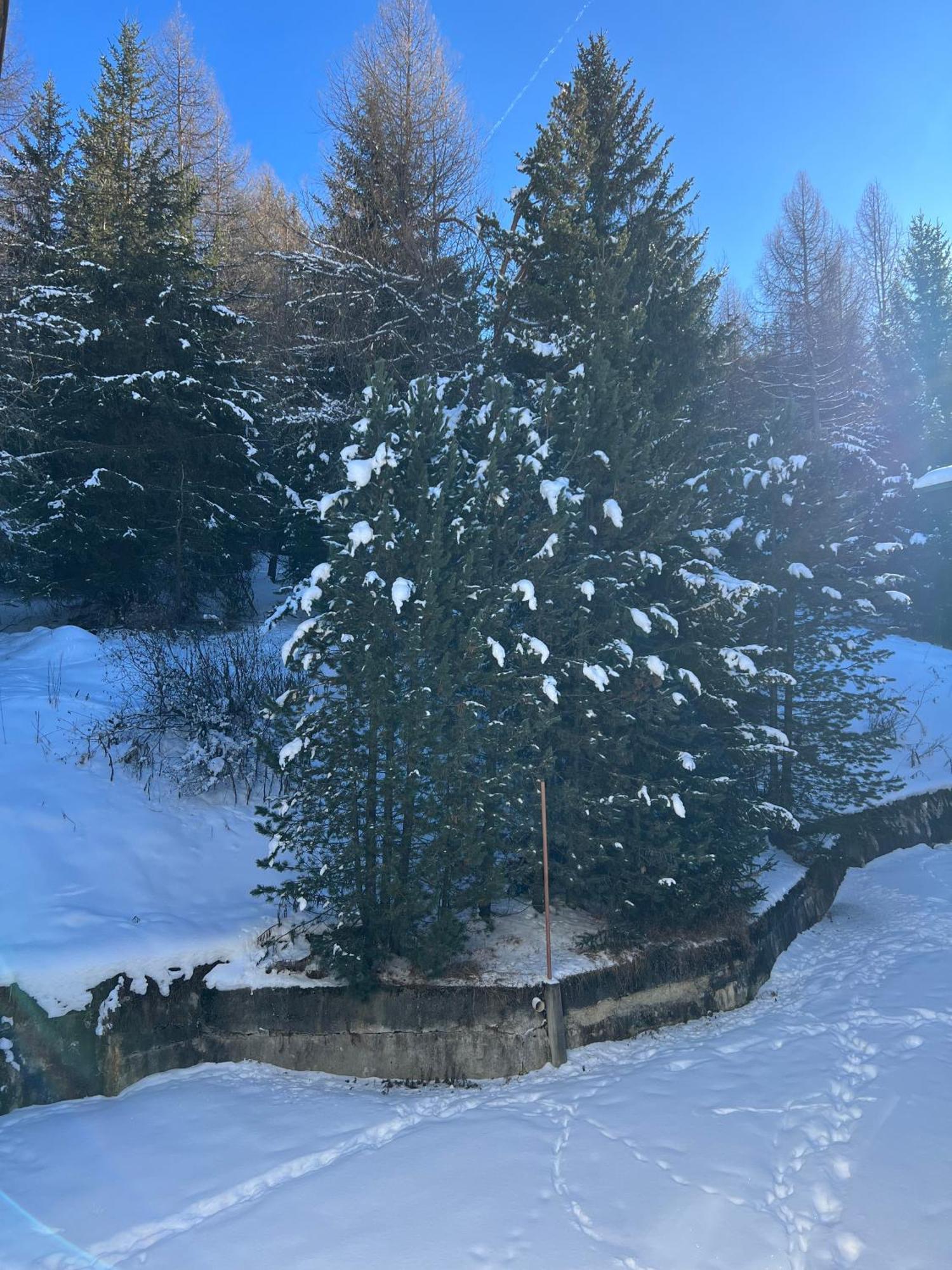 Cuor Di Bosco Apartment Livigno