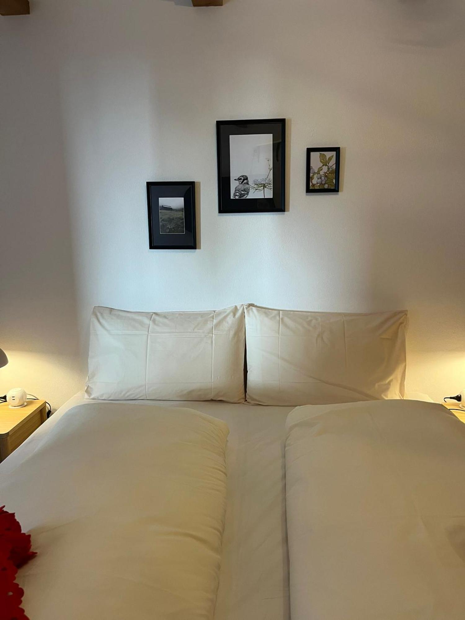 Apartment Cuor Di Bosco